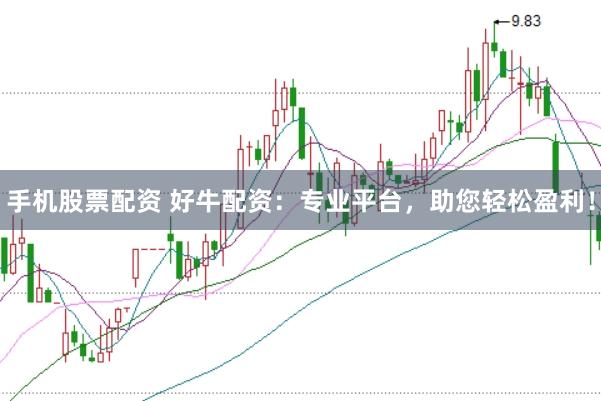 手机股票配资 好牛配资：专业平台，助您轻松盈利！