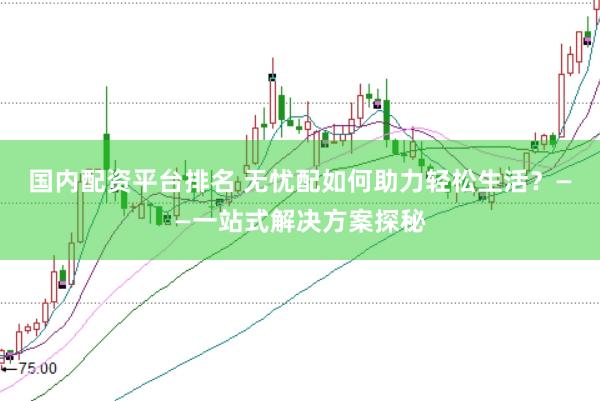 国内配资平台排名 无忧配如何助力轻松生活？——一站式解决方案探秘