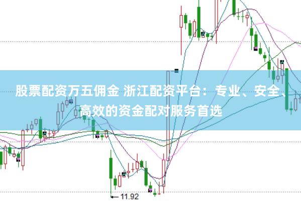 股票配资万五佣金 浙江配资平台：专业、安全、高效的资金配对服务首选