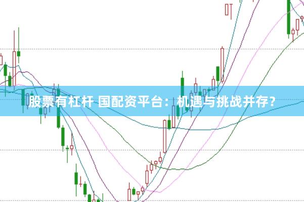 股票有杠杆 国配资平台：机遇与挑战并存？