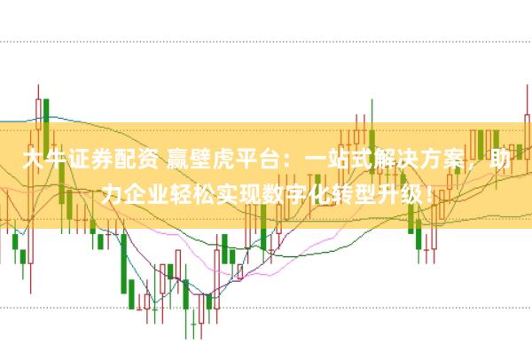 大牛证券配资 赢壁虎平台：一站式解决方案，助力企业轻松实现数字化转型升级！