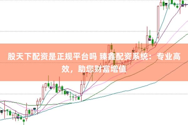 股天下配资是正规平台吗 臻鑫配资系统：专业高效，助您财富增值