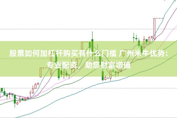 股票如何加杠杆购买有什么门槛 广州米牛优势：专业配资，助您财富增值