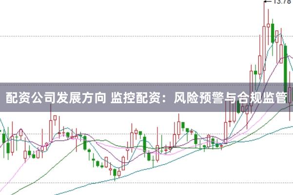 配资公司发展方向 监控配资：风险预警与合规监管