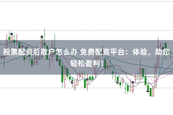 股票配资后散户怎么办 免费配资平台：体验，助您轻松盈利！