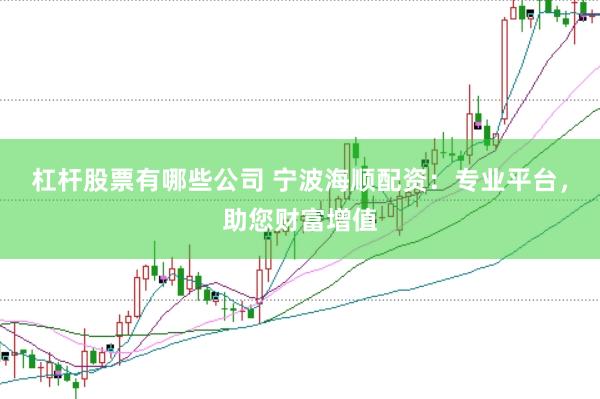 杠杆股票有哪些公司 宁波海顺配资：专业平台，助您财富增值
