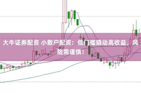 大牛证券配资 小散户配资：低门槛撬动高收益，风险需谨慎！