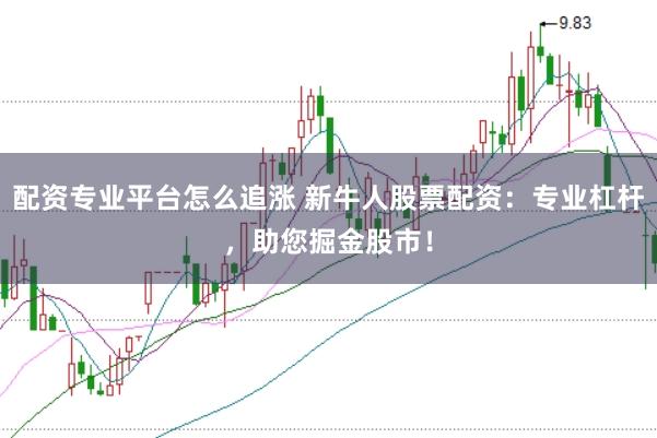 配资专业平台怎么追涨 新牛人股票配资:专业杠杆,助您掘金股市!