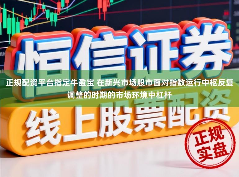 正规配资平台指定牛盈宝 在新兴市场股市面对指数运行中枢反复调整的时期的市场环境中杠杆