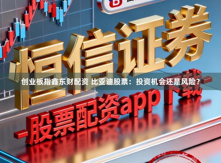 创业板指鑫东财配资 比亚迪股票：投资机会还是风险？